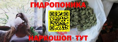 трава Тара
