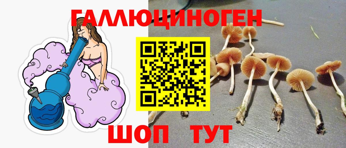 Галлюциногенные грибы GOLDEN TEACHER Курчалой