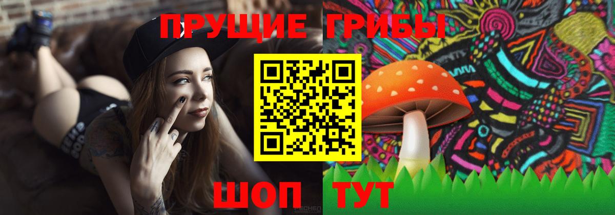 Псилоцибиновые грибы Psilocybe  Вход с VPN  Курчалой 